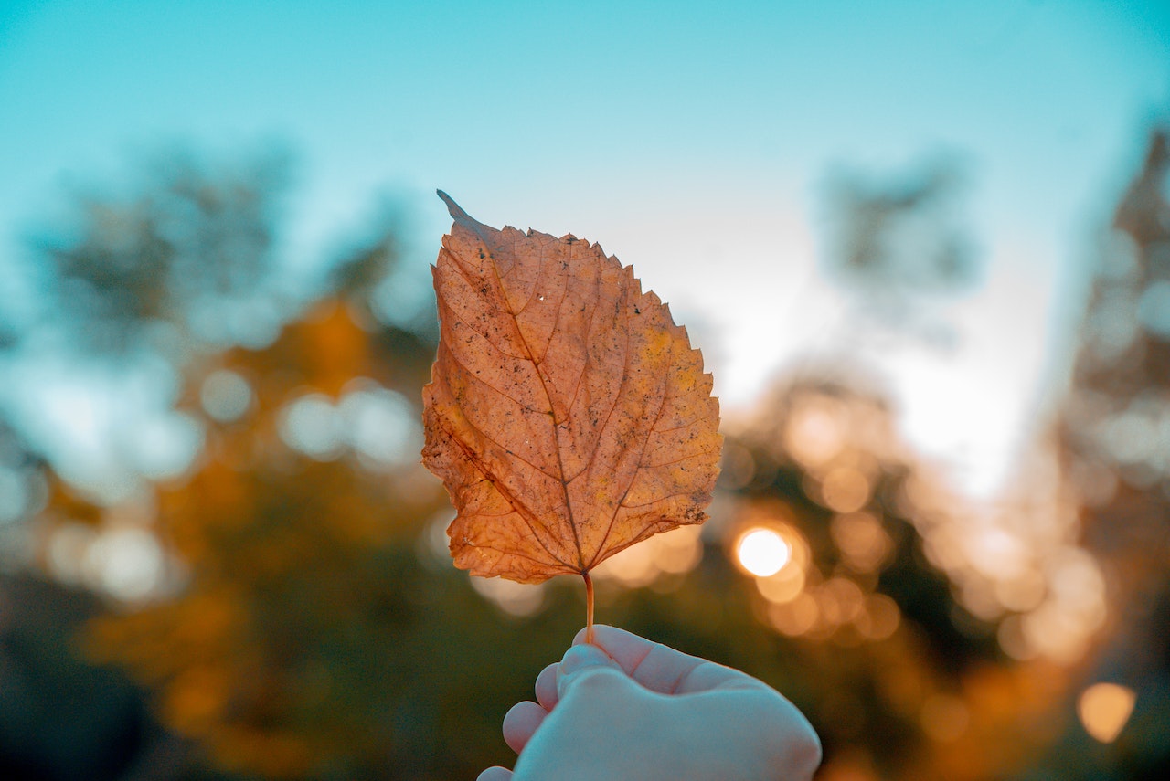 fall